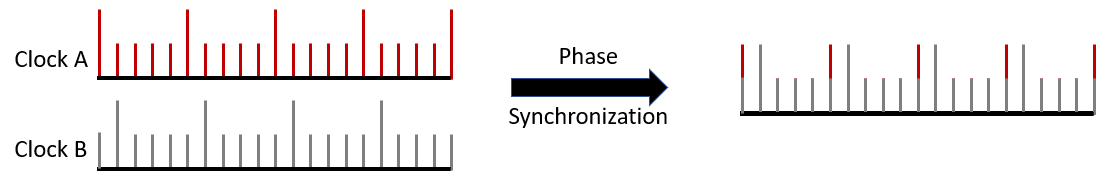 What is Phase Synchronization
